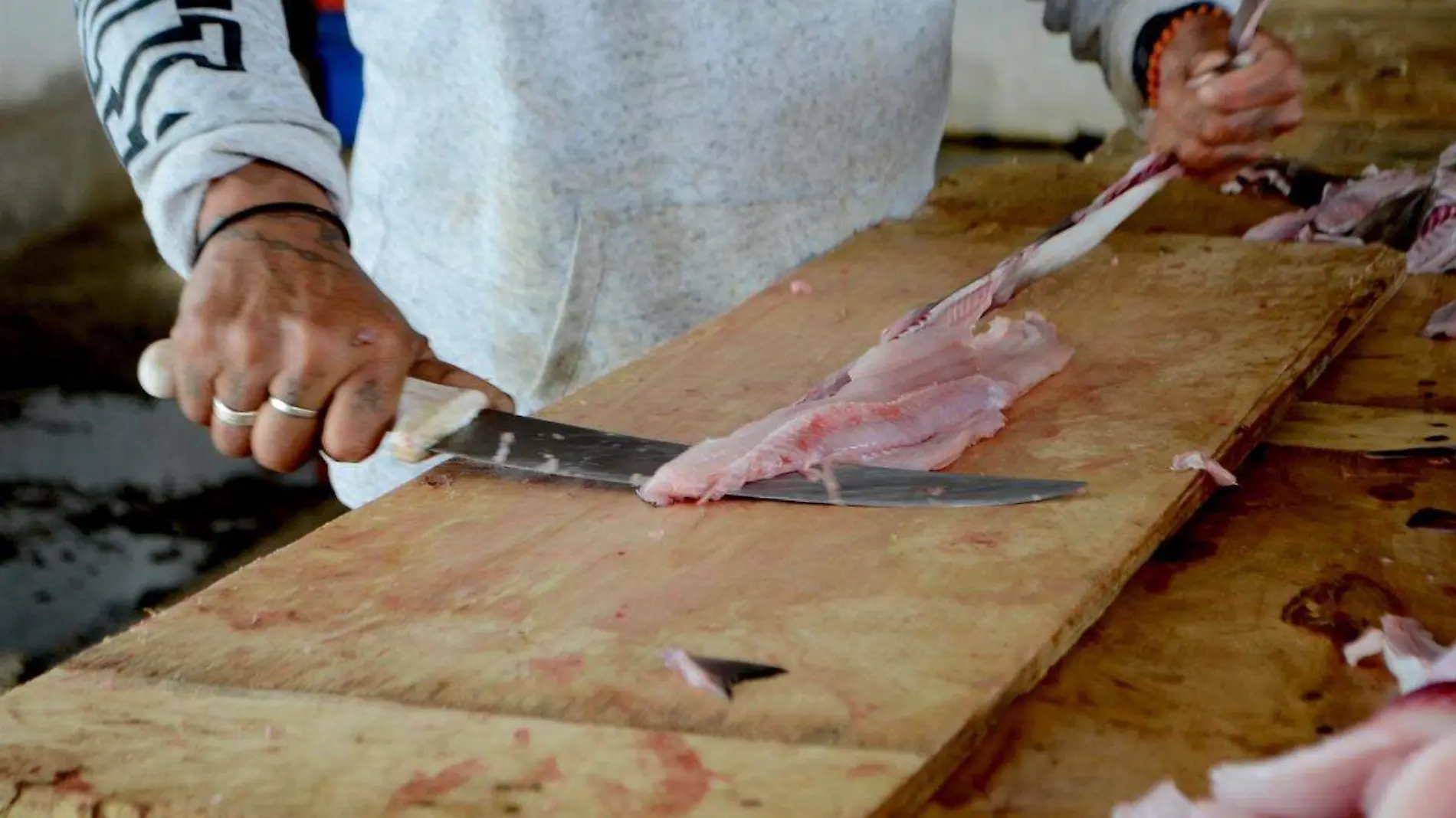 Pescadores Bahía de Kino